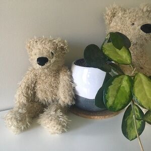 Restoration Hardware soft bear size small